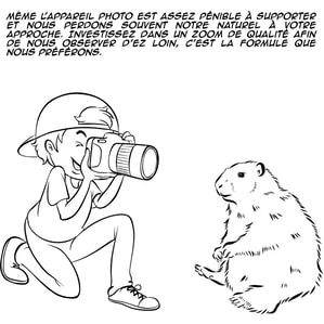 comment photographier une marmotte